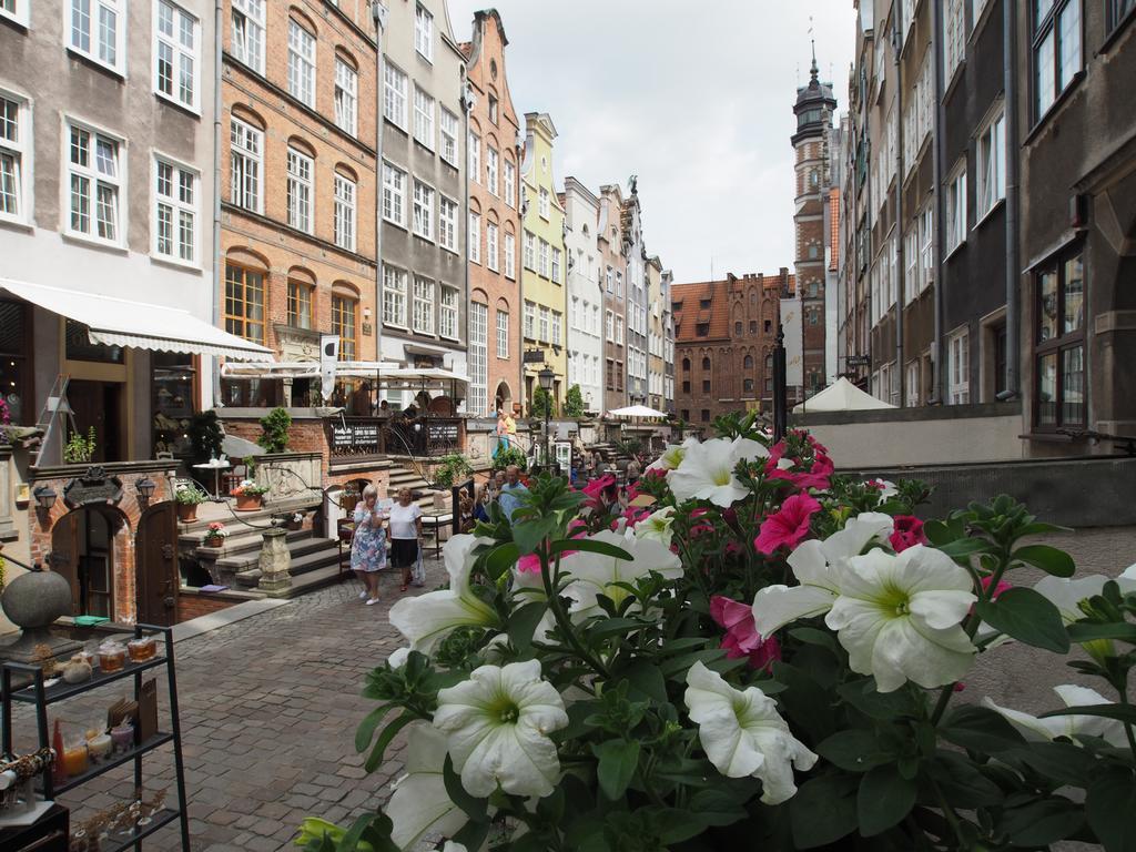 Grand-tourist Amber Rose * Gdaňsk