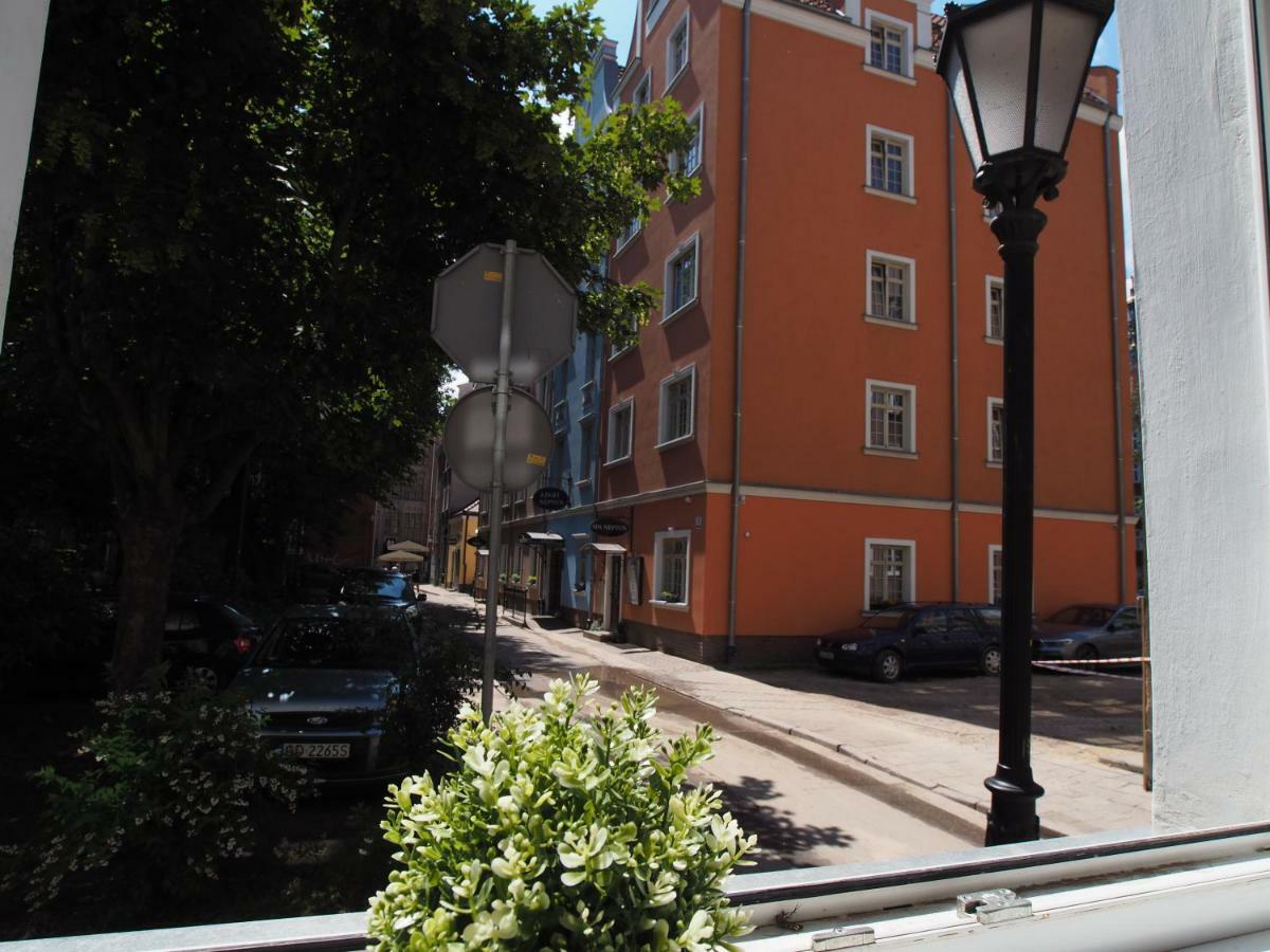 Grand-tourist Amber Rose * Gdaňsk